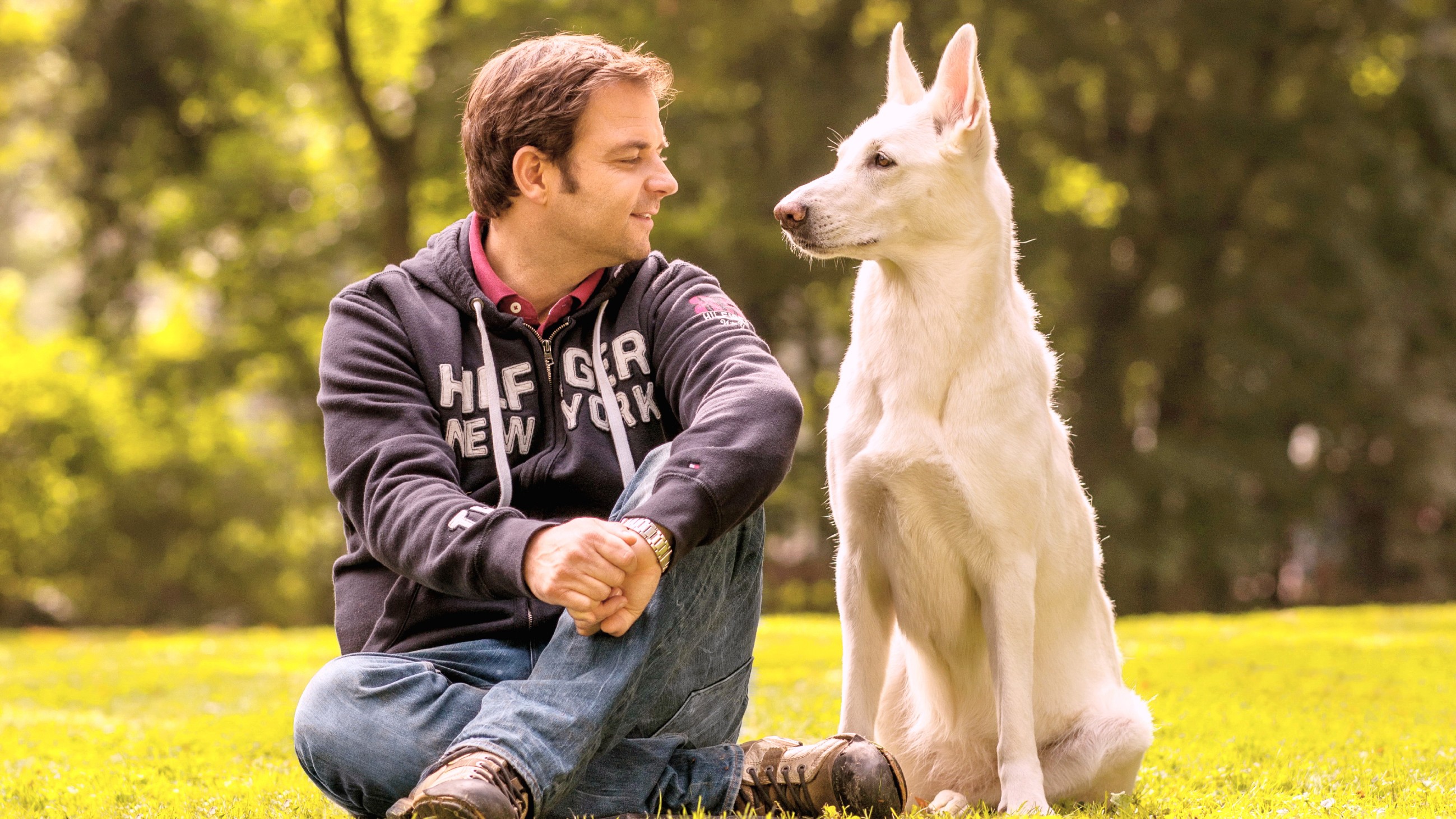 Die Unvermittelbaren - Mit Martin Rütter